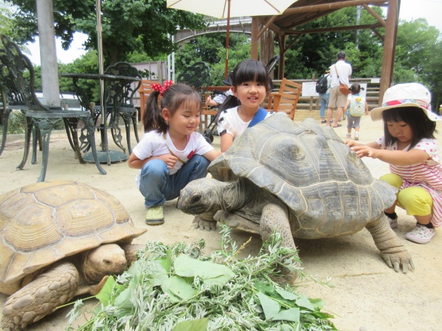 敬老の日は家族でおでかけ! 三世代で楽しめる岡山のおすすめエリア5選